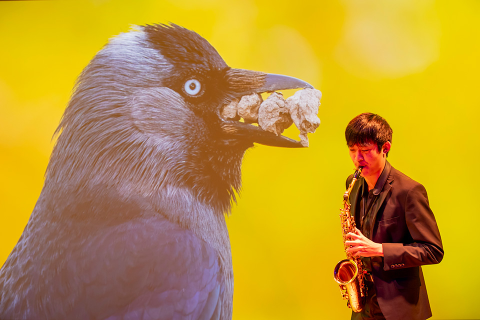 Male saxophonist in front of a vibrant yellow photo of a bird with stones in it's mouth